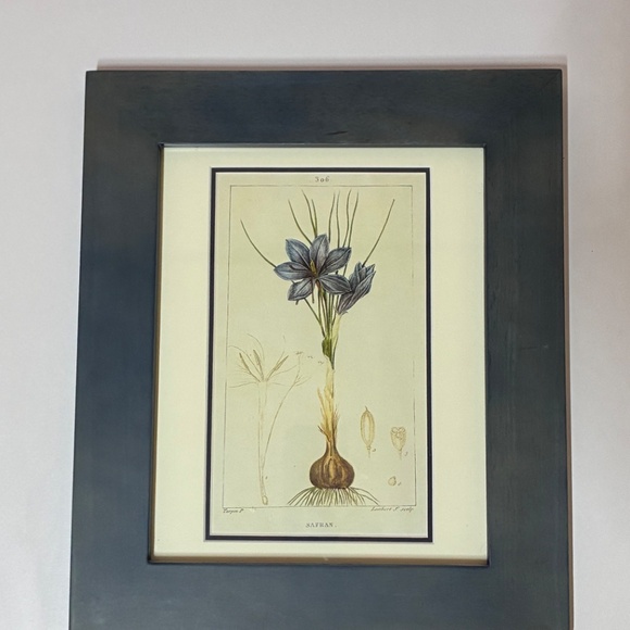 Set of 3 Framed Botanical Prints - Picture 2 of 4